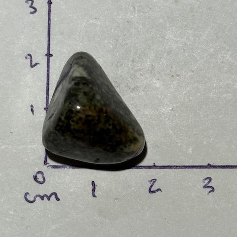 Pierre bleue des monts Preseli