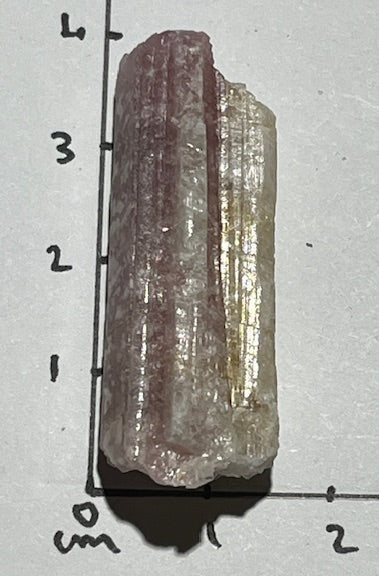 Rubellite Oasis de Cristal 