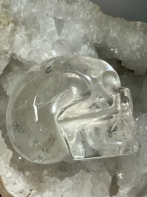 Crâne Quartz Lémurien