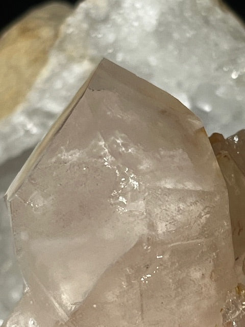 Quartz  Celestial  Fantôme (Lovestar Atlante)