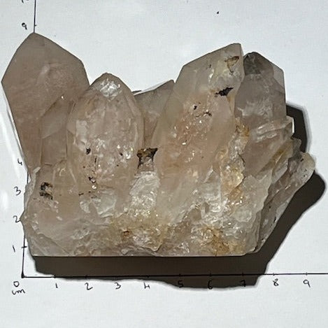 Quartz  Celestial  Fantôme (Lovestar Atlante)