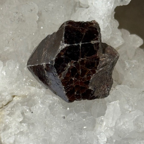 Zircon Oasis de cristal 