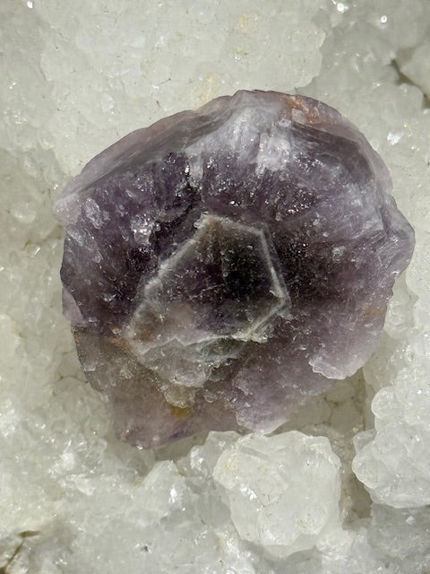 Auralite 23