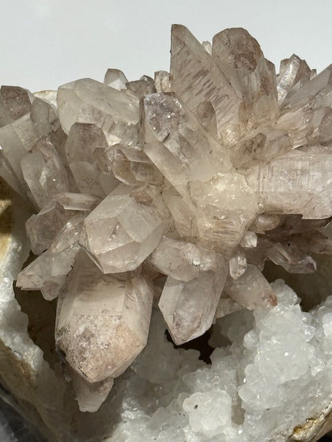 Lemurian Quartz Cluster