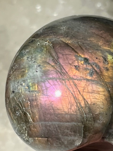 Crâne Labradorite Grade Extra