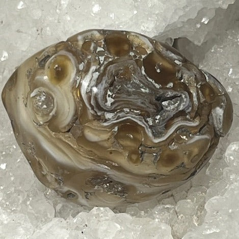 Agate d'eau « Enhydro»