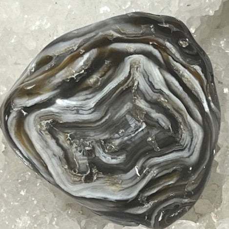 Agate d'eau « Enhydro»