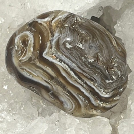 Agate d'eau « Enhydro»