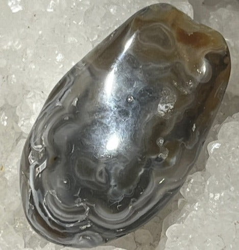 Agate d'eau « Enhydro»