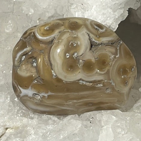 Agate d'eau « Enhydro»