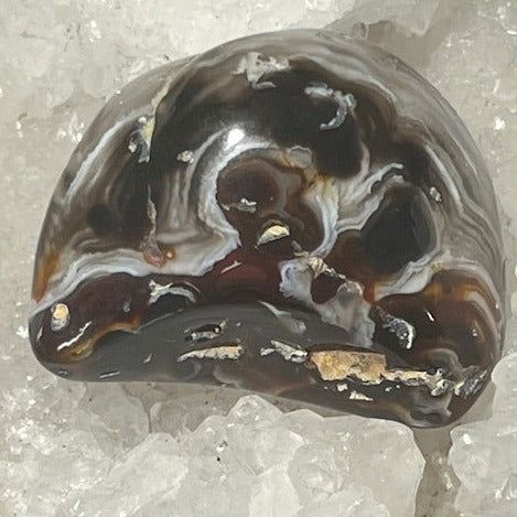 Agate d'eau « Enhydro»