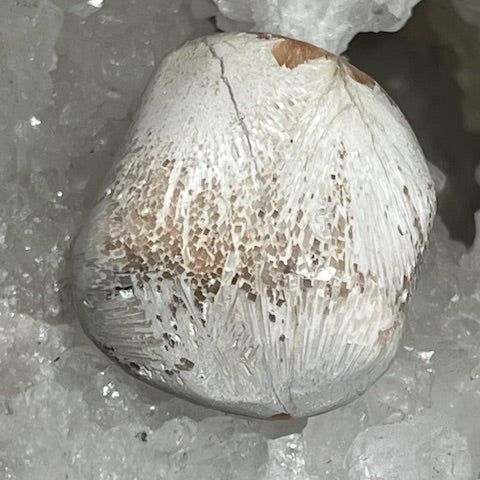 Scolécite avec Stilbite Oasis de Cristal