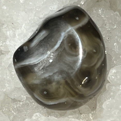 Agate d'eau « Enhydro»