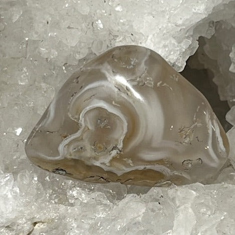 Agate d'eau « Enhydro»