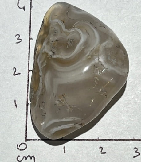 Agate d'eau « Enhydro»