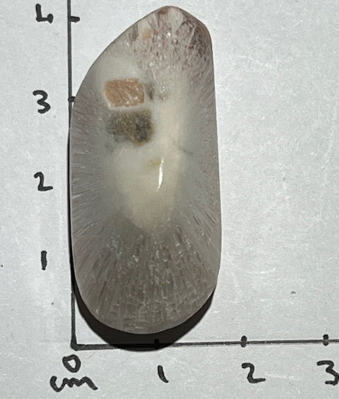 Scolécite avec Stilbite Oasis de Cristal