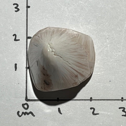 Scolécite avec Stilbite Oasis de Cristal
