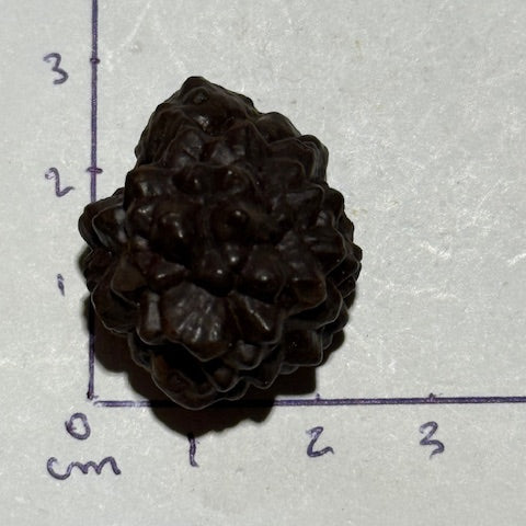 Pierre de Prophétie