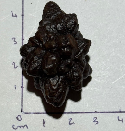 Pierre de Prophétie