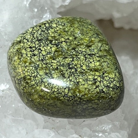 Green Snakeskin Jasper Crystal Tumbled Stone Polished Gemstone / Protection  Responsibility Letting Go Smooth Pebble Round Boulder Brazil -  Canada