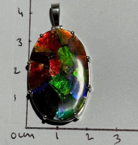 Pendentif Ammolite du Canada 