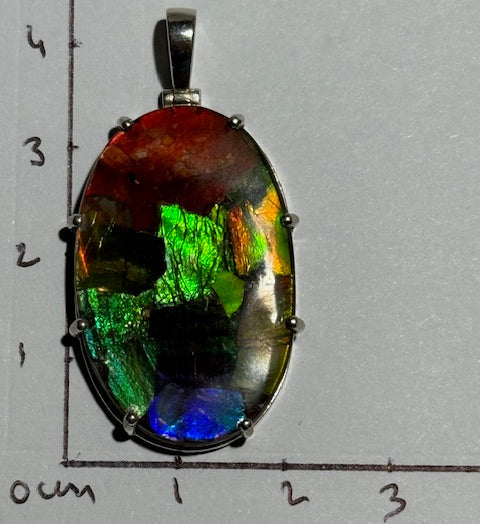 Pendentif Ammolite du Canada 