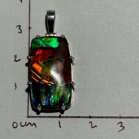 Pendentif Ammolite du Canada 