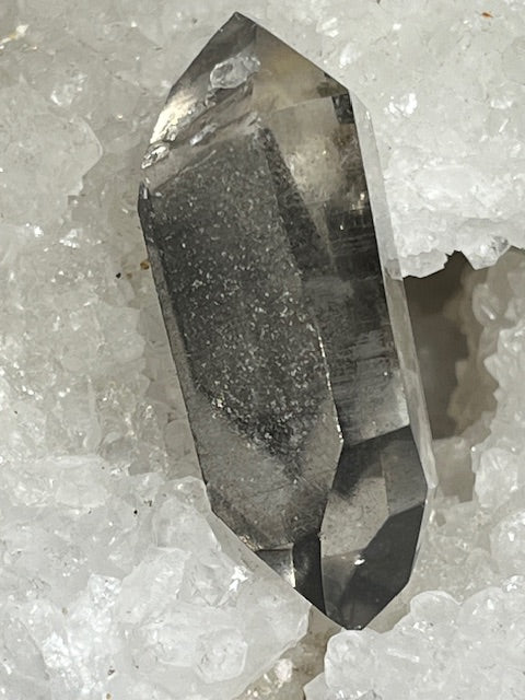 Black Ghost Quartz ( Bitterminated)