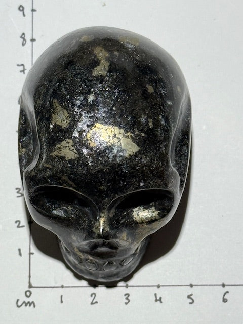 Healer's Golden Skull