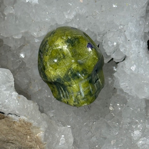 Crâne Atlantisite