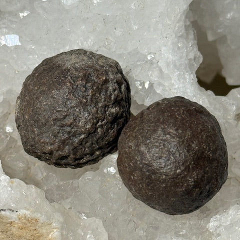 Moquis
