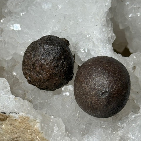 Moquis