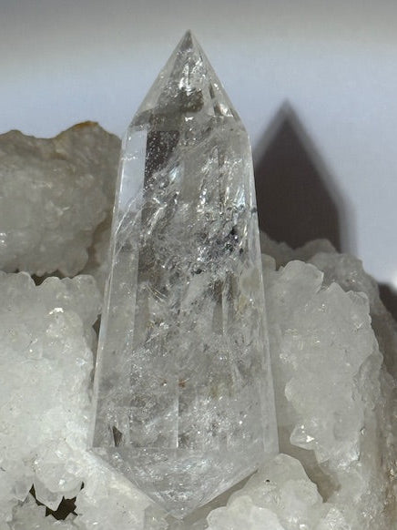 Quartz Vogel 12 FACES en Quartz 