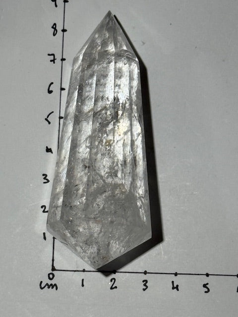 Quartz Vogel 12 FACES en Quartz 