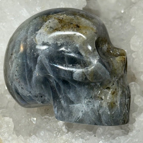 Crâne Labradorite Grade A