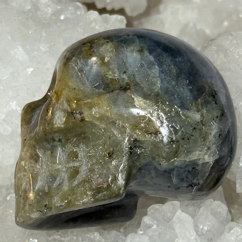 Crâne Labradorite Grade A