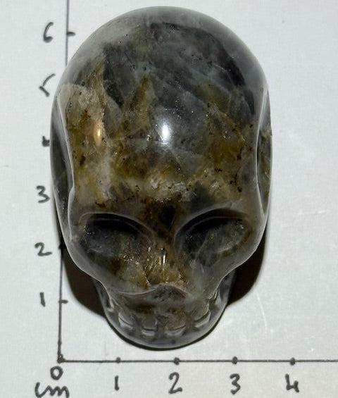 Crâne Labradorite Grade A