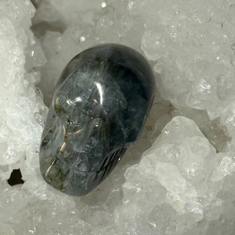 Crâne Labradorite Grade A