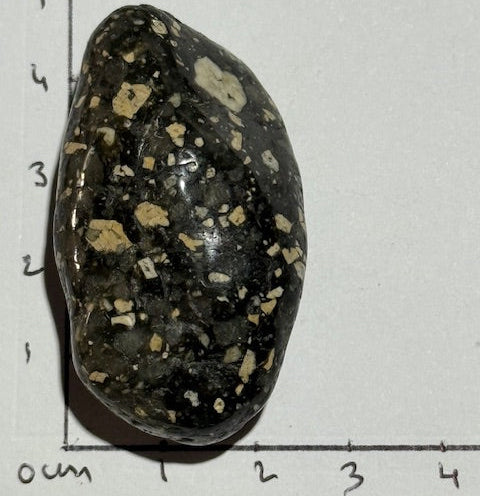 Jaspe Pintade OASIS DE CRISTAL