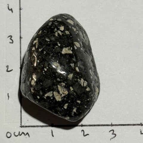 Jaspe Pintade OASIS DE CRISTAL