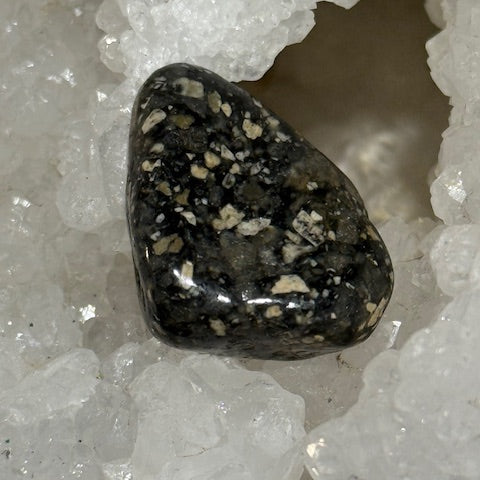 Jaspe Pintade OASIS DE CRISTAL