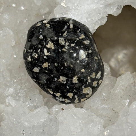 Jaspe Pintade OASIS DE CRISTAL