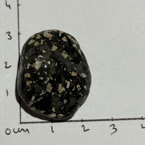 Jaspe Pintade OASIS DE CRISTAL