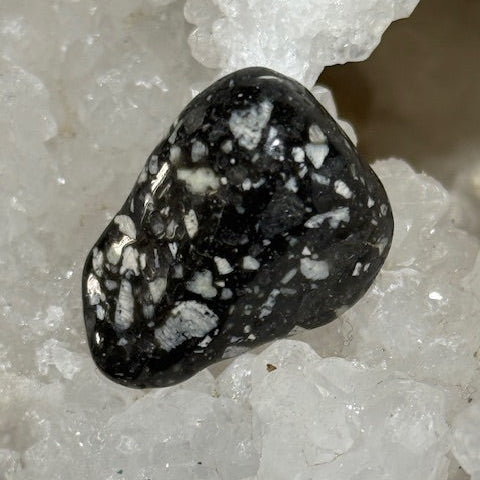 Jaspe Pintade OASIS DE CRISTAL