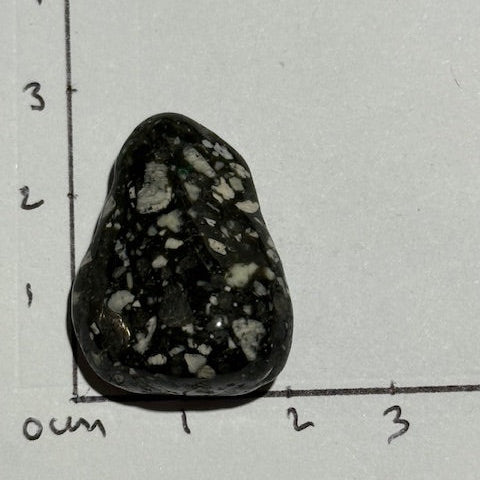 Jaspe Pintade OASIS DE CRISTAL