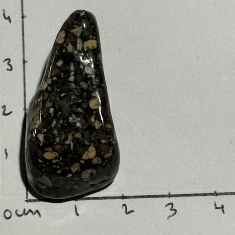 Jaspe Pintade OASIS DE CRISTAL