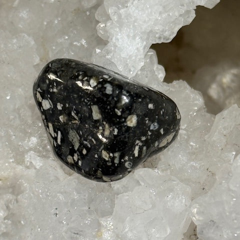 Jaspe Pintade OASIS DE CRISTAL