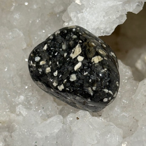 Jaspe Pintade OASIS DE CRISTAL