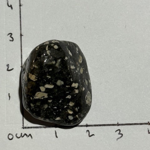 Jaspe Pintade OASIS DE CRISTAL