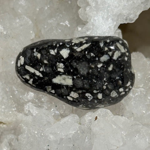 Jaspe Pintade OASIS DE CRISTAL